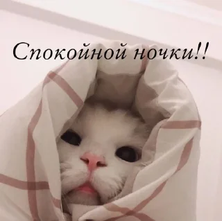 Sticker Создать стикеры|@EmojiRuBot - 3