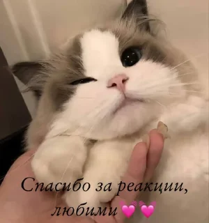 Sticker Создать стикеры|@EmojiRuBot - 1