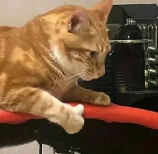 Sticker Animalo - 11