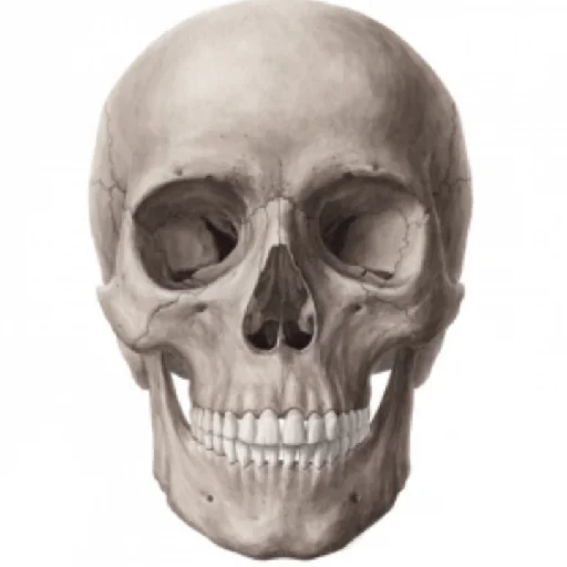 АААААААААААААААААААААААААААААААААААААААААААААААААААААААААААА - 