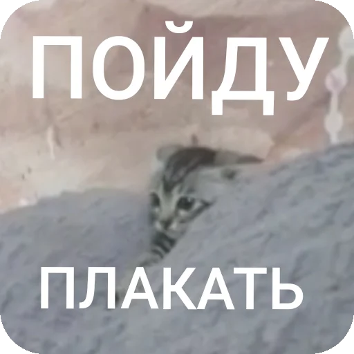 Sticker AAAAAAAABILKA - 1