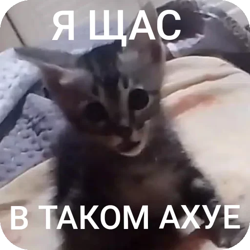 Стикер AAAAAAAABILKA - 1