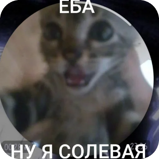 Стикер AAAAAAAABILKA - 1