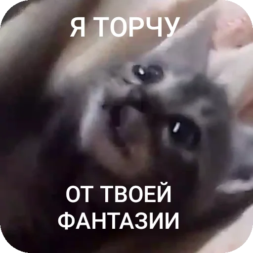 Sticker AAAAAAAABILKA - 1