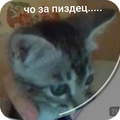 АААААА ААБИЛКА - 