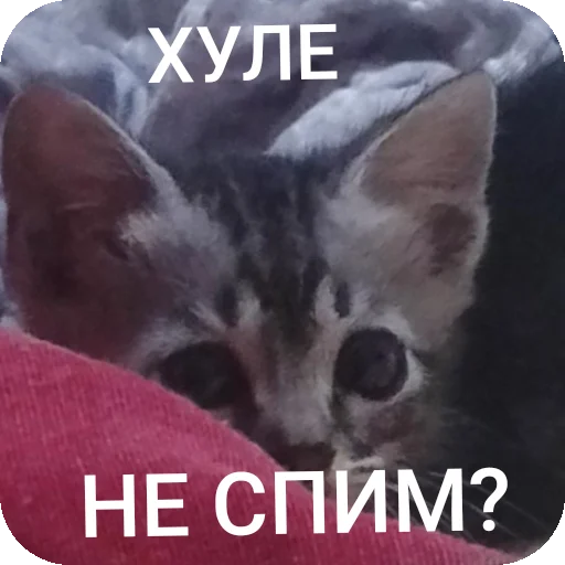 Стикер AAAAAAAABILKA - 1