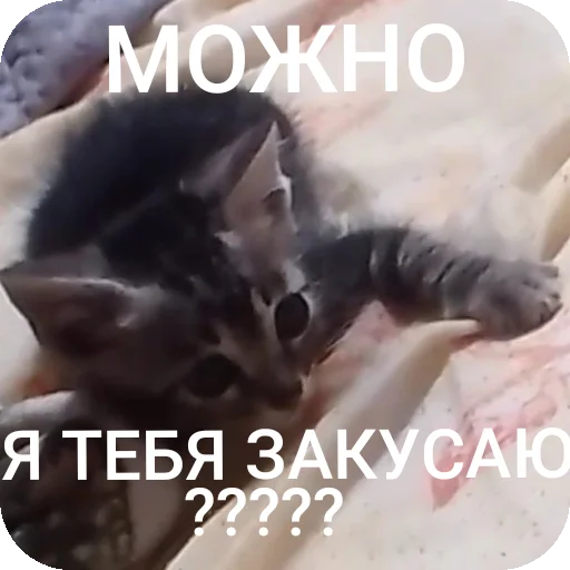 Стикер AAAAAAAABILKA - 1