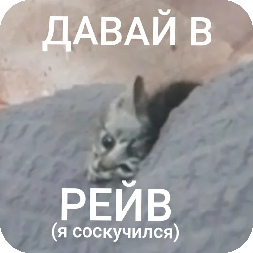 Sticker AAAAAAAABILKA - 1