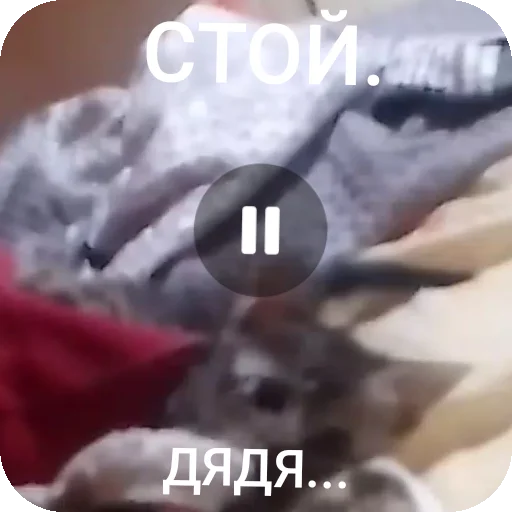 Sticker AAAAAAAABILKA - 1