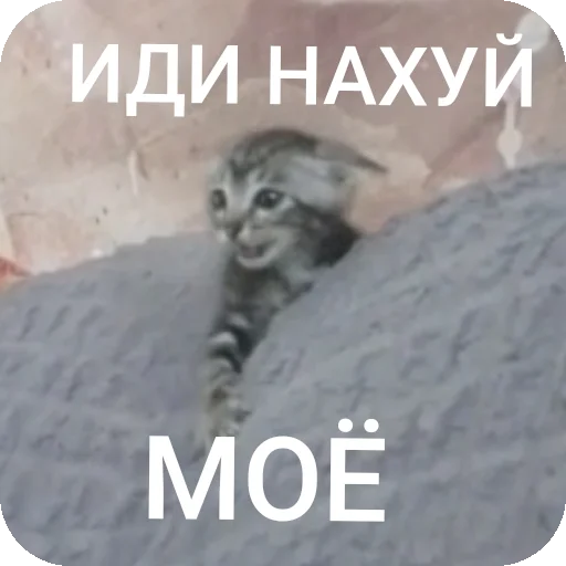 Sticker AAAAAAAABILKA - 1