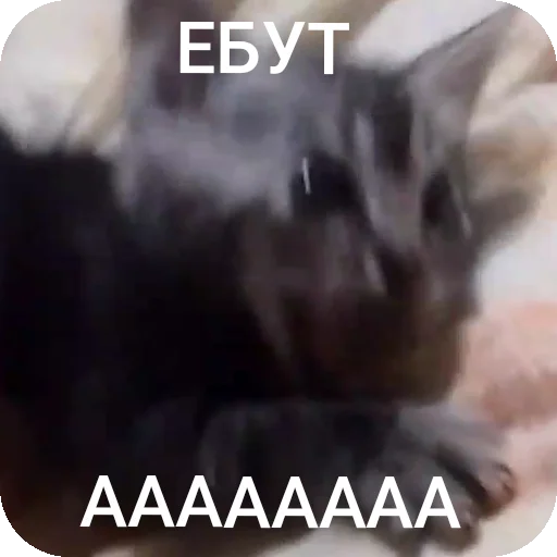 Sticker AAAAAAAABILKA - 1