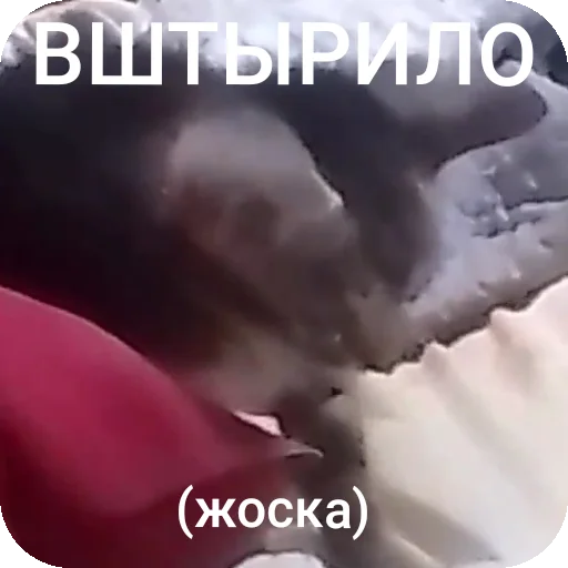 Sticker AAAAAAAABILKA - 1