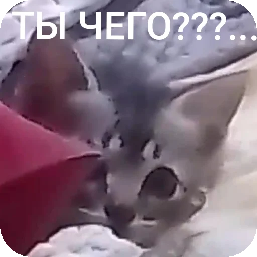 Sticker AAAAAAAABILKA - 1