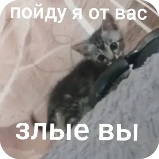 Sticker АААААА ААБИЛКА - 3