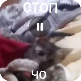 Sticker АААААА ААБИЛКА - 9