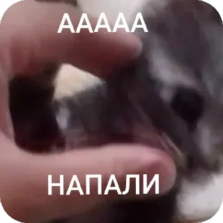 Sticker АААААА ААБИЛКА - 1