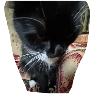 Стикер СБЕРБАНКОВСКИЕ - 7