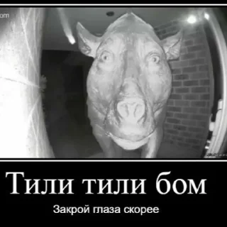 Sticker Э, брат - 0