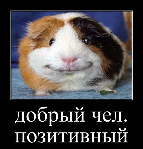 Больше стиков тут: @stikery4 - 