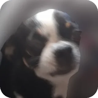 Sticker АБОБА - 11