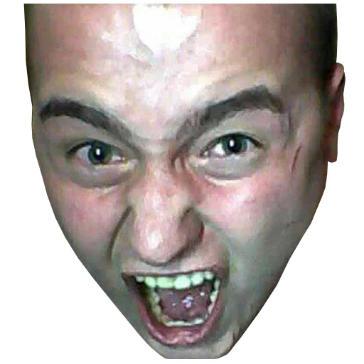 челюсть человеческое лицо лоб