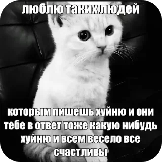 Sticker snejok выдал базу - 10