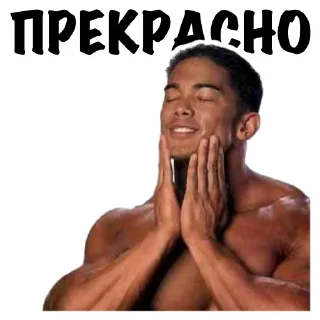 Стикер ADG_Mems #2 - 7