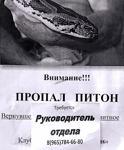 Sticker ADHD_pack - 1