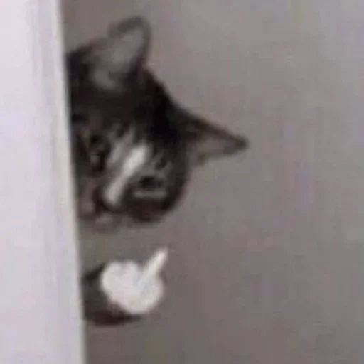 Sticker ADhoZEW_by_achestickbot - 1