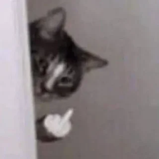 Sticker Больше стиков тут: @stikery4 - 10