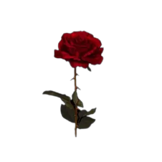 Sticker AEsthetic - 10