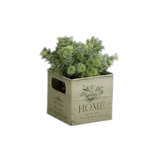 Sticker AEsthetic - 7