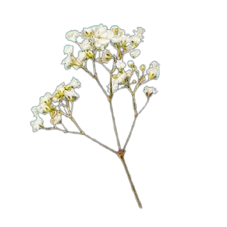 Sticker AEsthetic - 9