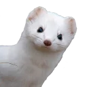 Стикер Advanced Humor for Mature People pack - 11