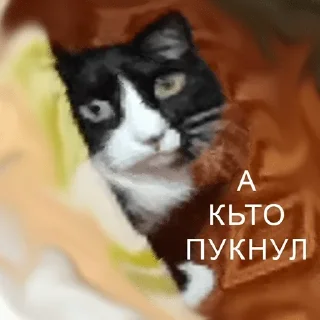 Sticker Стики 8193 из @Anonymnyi_chat_bot - 7