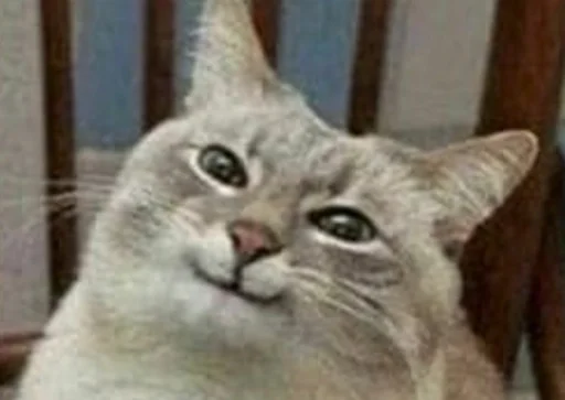 Стикер Аиша Мзимов by @fStikBot - 7