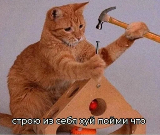 Стикер Аиша Мзимов by @fStikBot - 4