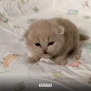 Sticker Больше стиков тут: @stikery4 - 2