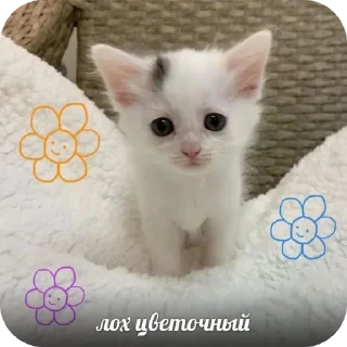 Sticker Больше стиков тут: @stikery4 - 5