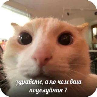 Sticker Больше стиков тут: @stikery4 - 11