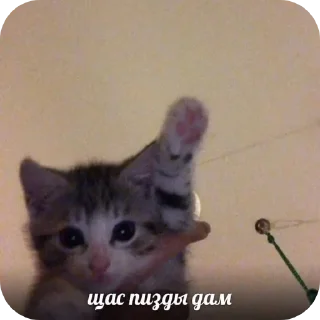 Sticker Больше стиков тут: @stikery4 - 3