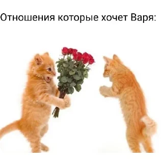 Sticker Больше стиков тут: @stikery4 - 4