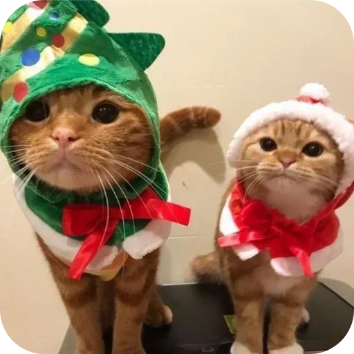 Больше стиков тут: @stikery4 - 