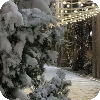 Стикер Больше стиков тут: @stikery4 - 9