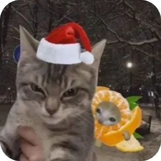 Стикер Больше стиков тут: @stikery4 - 0