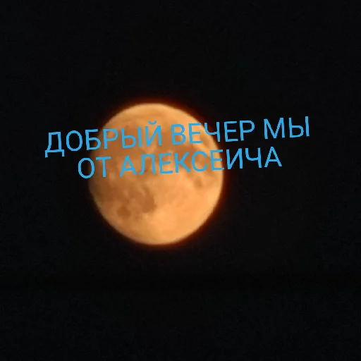 АЛЕКСЕЕИЧ ТОП - 