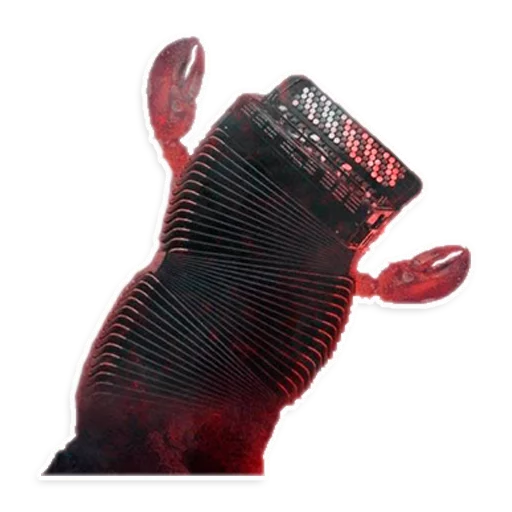 животное искусство