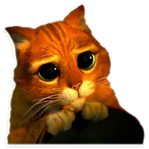 животное кошка домашняя кошка