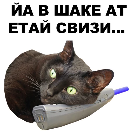 Sticker ALO_eeZee - 1