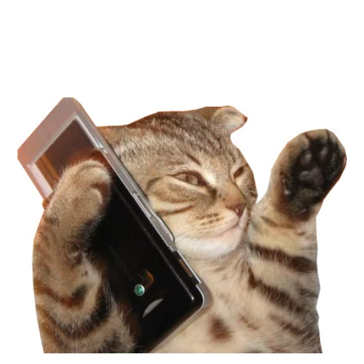 Переговоры @eeZee_stickers - 